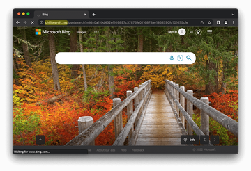 Chillsearch.xyz 重定向大多会导致 Bing