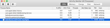 find a process named SafariQuickLookPreview (Spotlight) find a process named SafariQuickLookPreview (Spotlight)