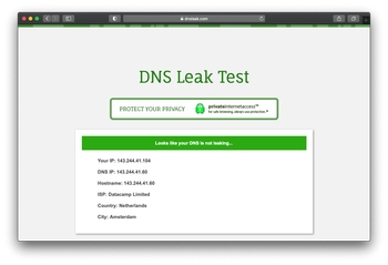 DNS Leak Test results