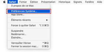 Aller à Préférences Système en Safari