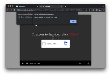 Rogue permission request stemming from Soap2Day Rogue permission request stemming from Soap2Day