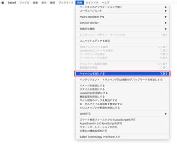 Safari の空のキャッシュ Safari の空のキャッシュ