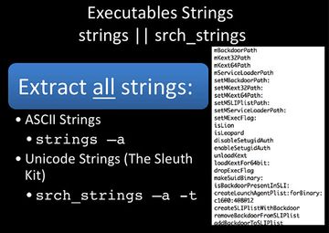 Executables Strings