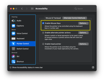 macOS System Settings showing accessibility and pointer options