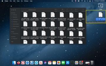 Finder Preferences folder showing the com.apple.SoftwareUpdate.plist file to remove Finder Preferences folder showing the com.apple.SoftwareUpdate.plist file to remove