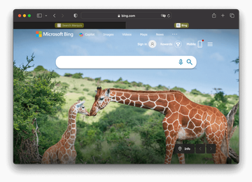 As odd as it may sound, Search Marquis ultimately forwards web traffic to Bing As odd as it may sound, Search Marquis ultimately forwards web traffic to Bing