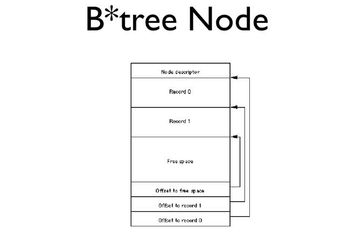 B*tree Node