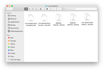 Contenu du dossier LaunchAgents dans le répertoire personnel de l'utilisateur