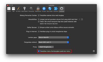 Tab Lanjutan pada Preferensi Safari