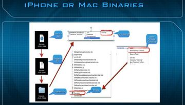 Diagram of iPhone or Mac binaries