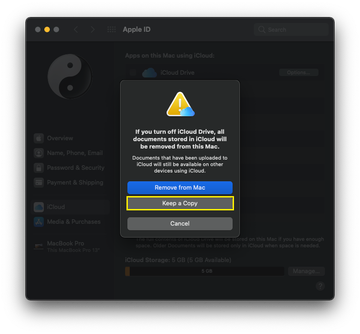 bird high CPU Mac solution by rebuilding iCloud Drive local cache