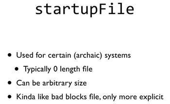 startupFile