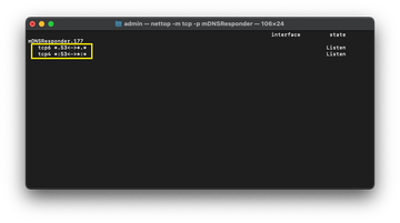 Run nettop tcp mDNSResponder in Terminal
