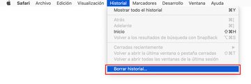 Borrar historial en Safari