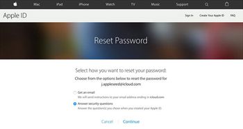 Reset Password