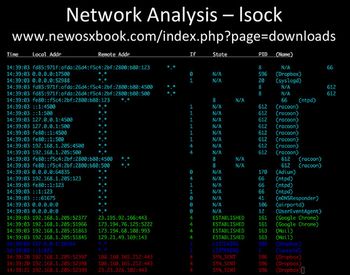 Network Analysis - lsock