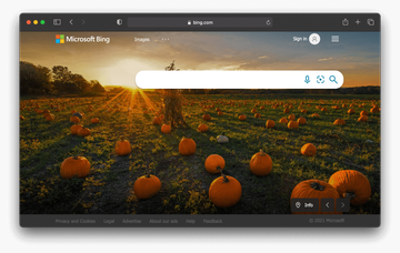 Trovi redirects to Bing Trovi redirects to Bing