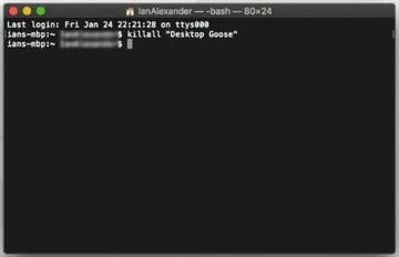 Quit Desktop Goose via Terminal