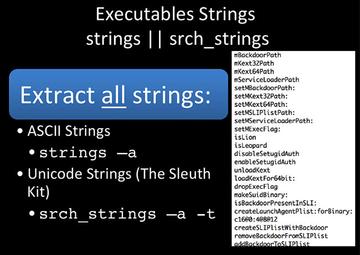 Executables Strings Executables Strings