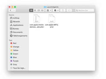 Contenu du dossier LaunchAgents au niveau de la racine