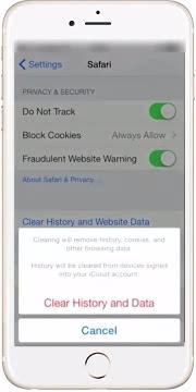 Reset Safari on iPhone