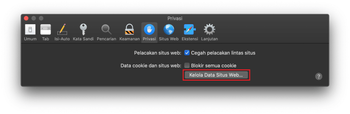 Opsi Kelola Data Situs Web pada tab Privasi