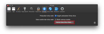 Opsi Kelola Data Situs Web pada tab Privasi