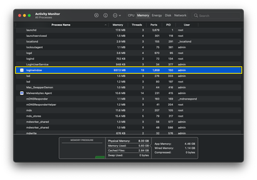 loginwindow process in Activity Monitor