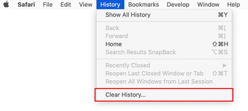 Clear history in Safari Clear history in Safari