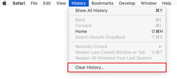 Clear history in Safari