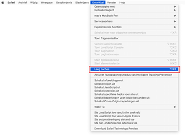 Leeg caches in Safari