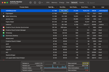 mDNSResponder in Activity Monitor on Mac