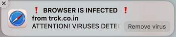 Source website specified in ‘Browser is infected’ alert